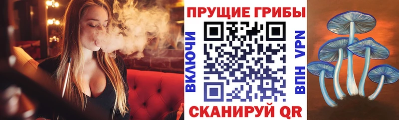 Галлюциногенные грибы ЛСД  Боготол 