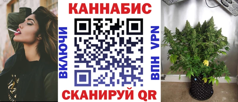 Шишки марихуана SATIVA & INDICA  KRAKEN ссылки  Боготол  как найти  